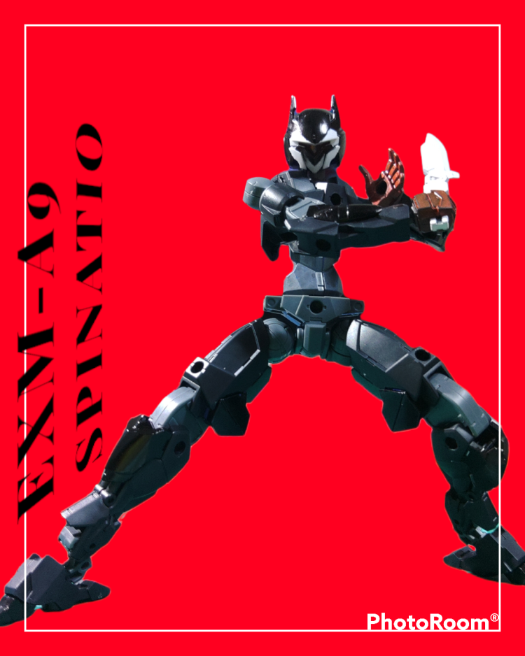 心の怪盗団　団長