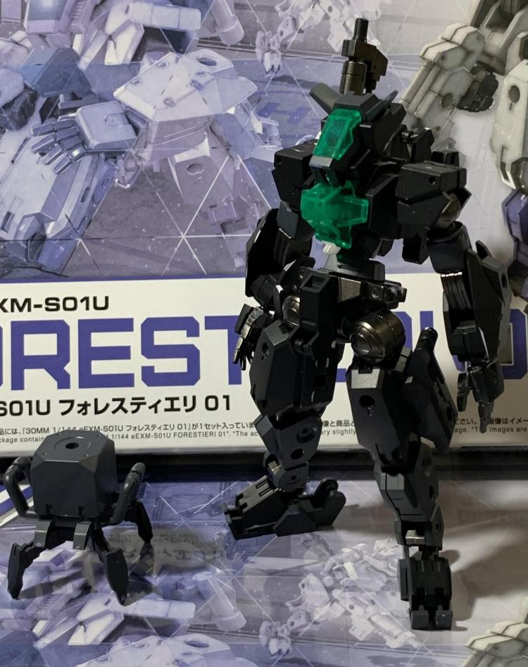 フォレスティエリ02風