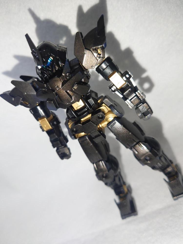 ポルタノヴァ「ゴールドマッチ」