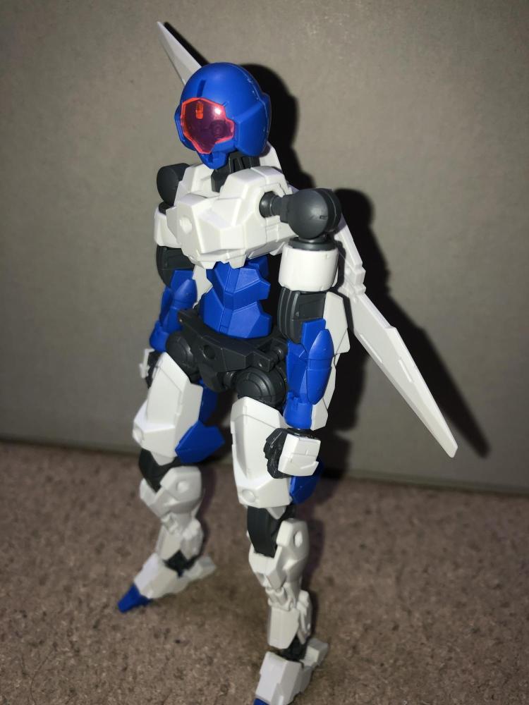 素体