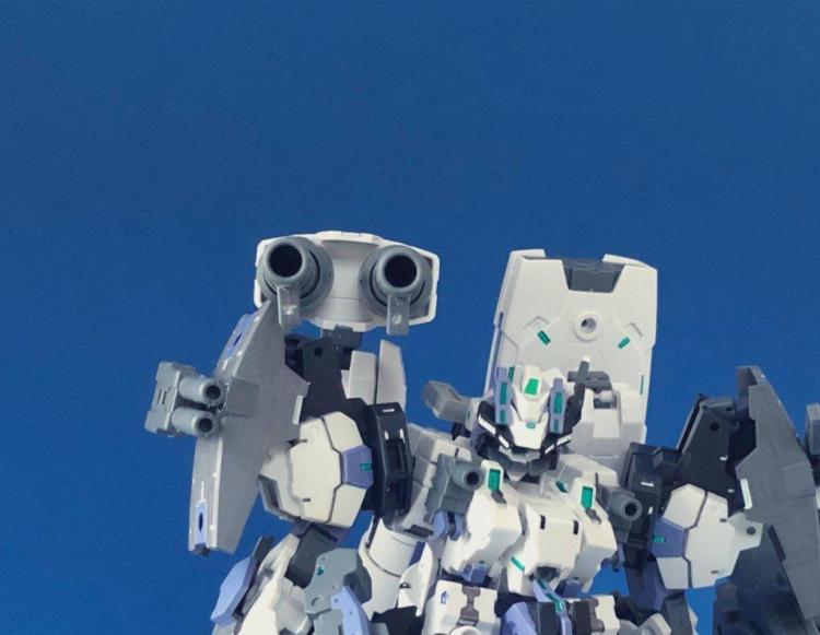 大型ダブルカノン