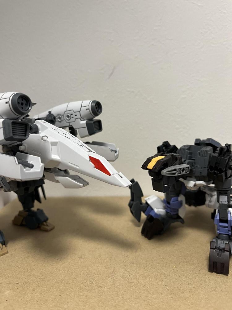 DNWS-03 ゼイガルスと