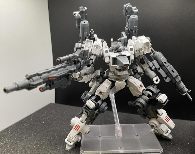 アドバンスENライフル