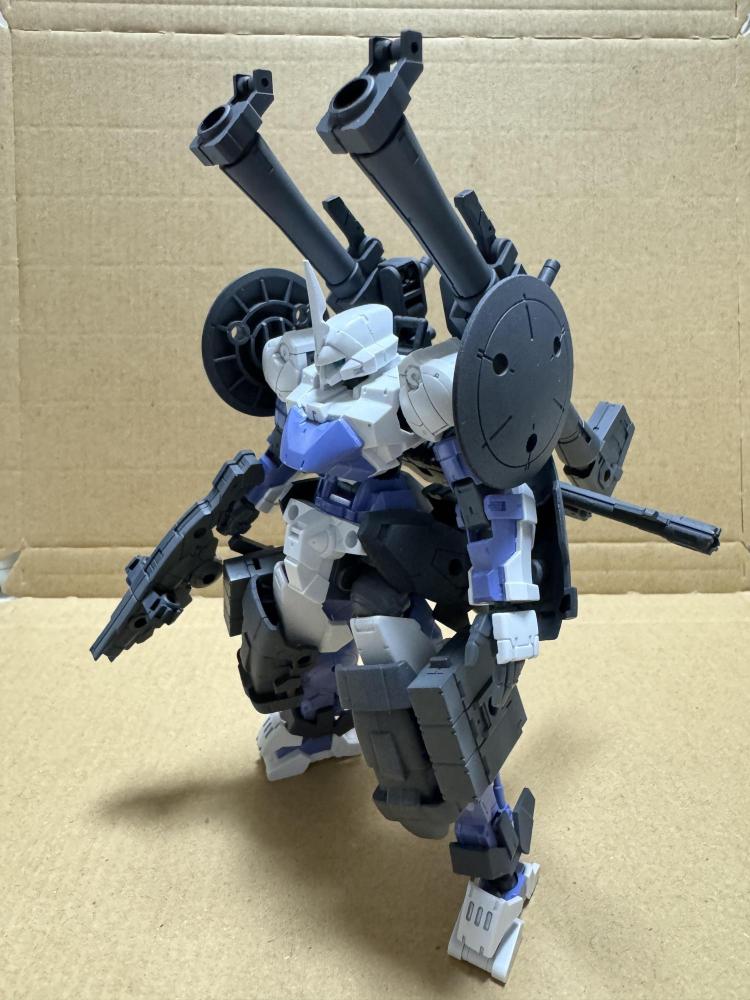武装強化[通常型]