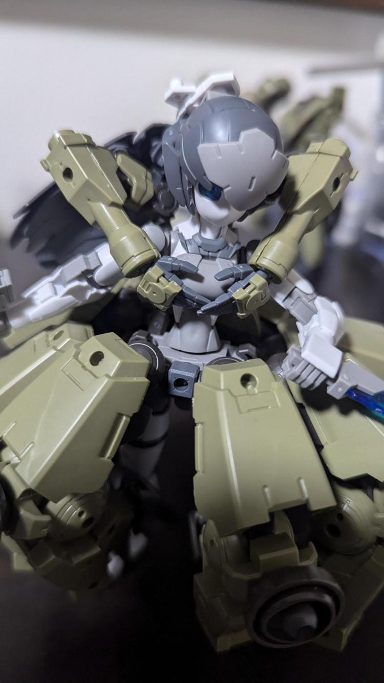 手ブラでスキー