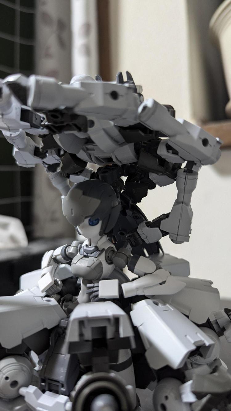 ボウシガオモインヨ